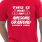 This Is What An Awesome Grandad Grandpa T-Shirt