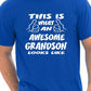 This Is What An Awesome Grandson Looks Like T-Shirt