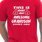 This Is What An Awesome Grandson Looks Like T-Shirt