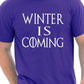 Winter Is coming T-Shirt