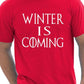 Winter Is coming T-Shirt