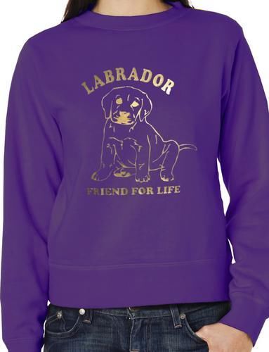 Labrador Dog Lover Pet Sweatshirt